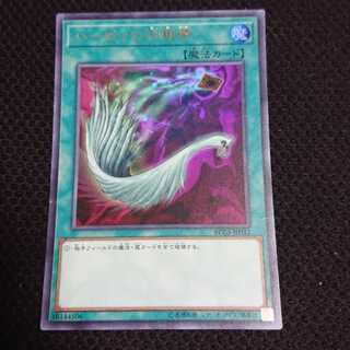 ハーピィの羽根帚 UR