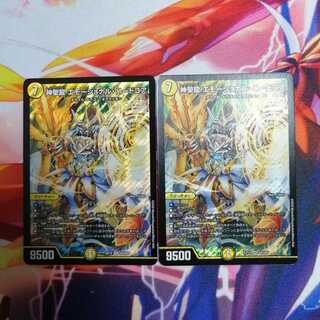 神聖龍 エモーショナル・ハードコア 2枚