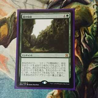 【MTG】森の知恵(日)　EMA版