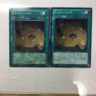 D・フィールド　２枚