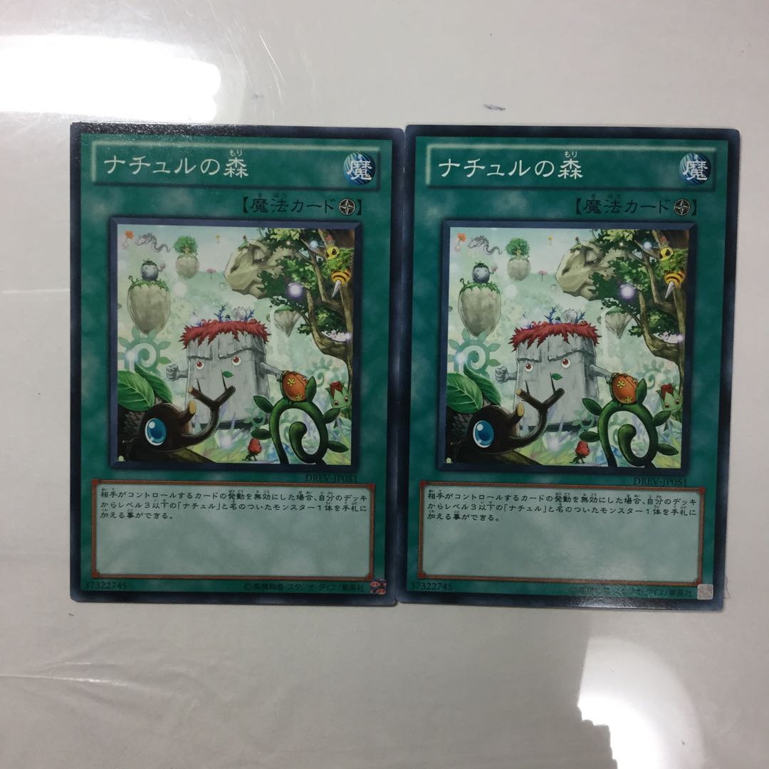 ナチュルの森　２枚