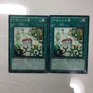 ナチュルの森　２枚