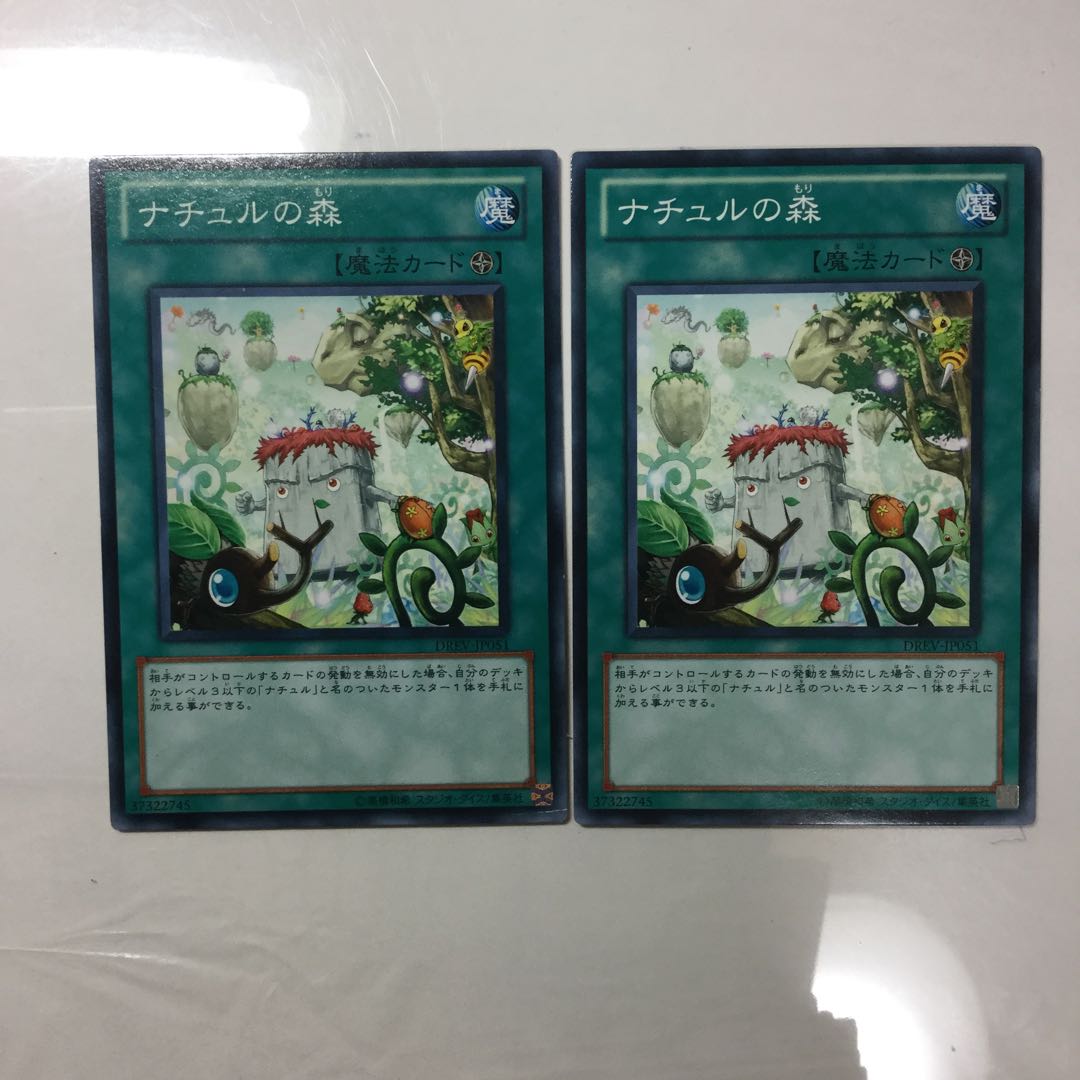 ナチュルの森　２枚