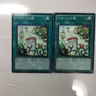 ナチュルの森　２枚