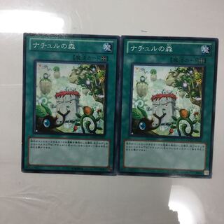 ナチュルの森　２枚