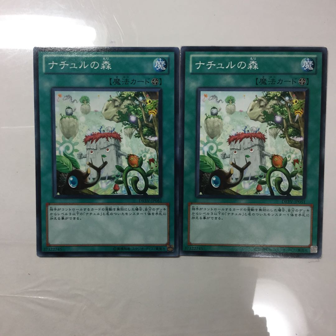 ナチュルの森　２枚