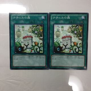 ナチュルの森　２枚