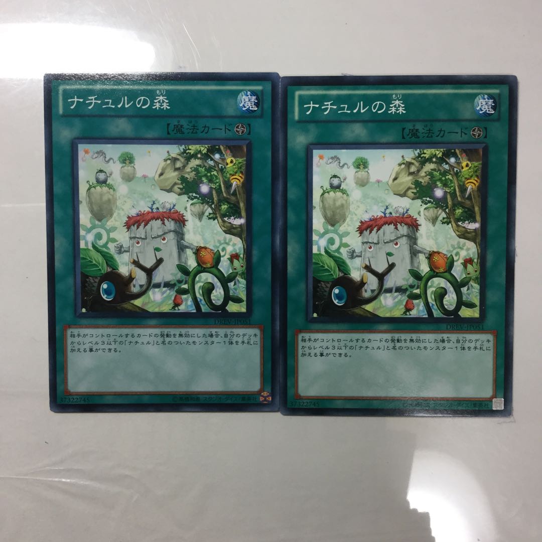 ナチュルの森　２枚