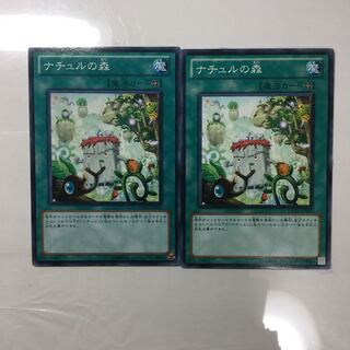 ナチュルの森　２枚