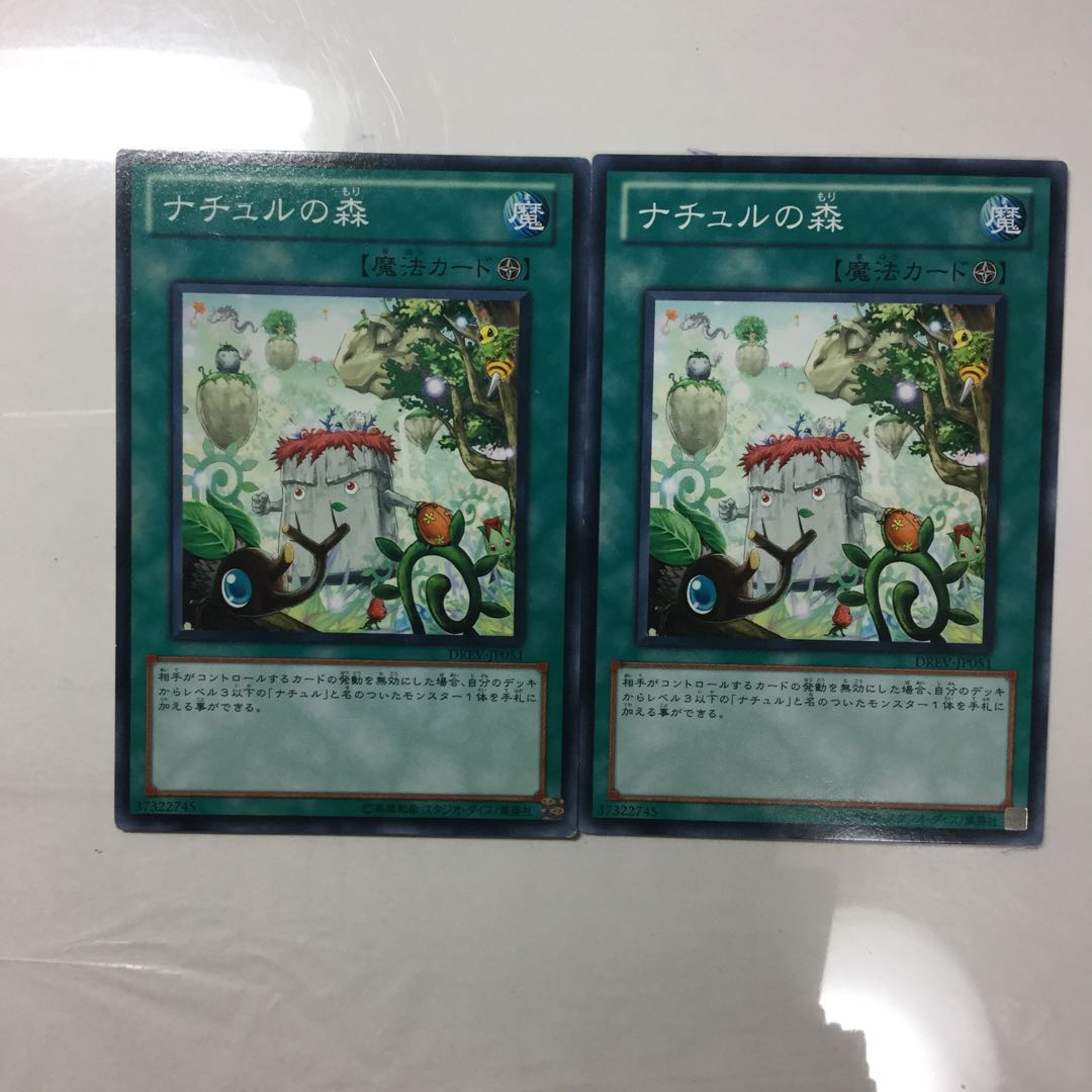 ナチュルの森　２枚