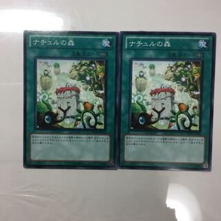 ナチュルの森　２枚