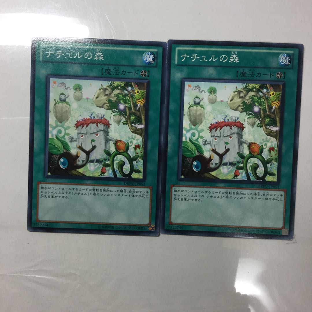 ナチュルの森　２枚