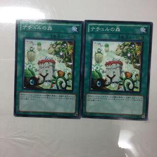 ナチュルの森　２枚