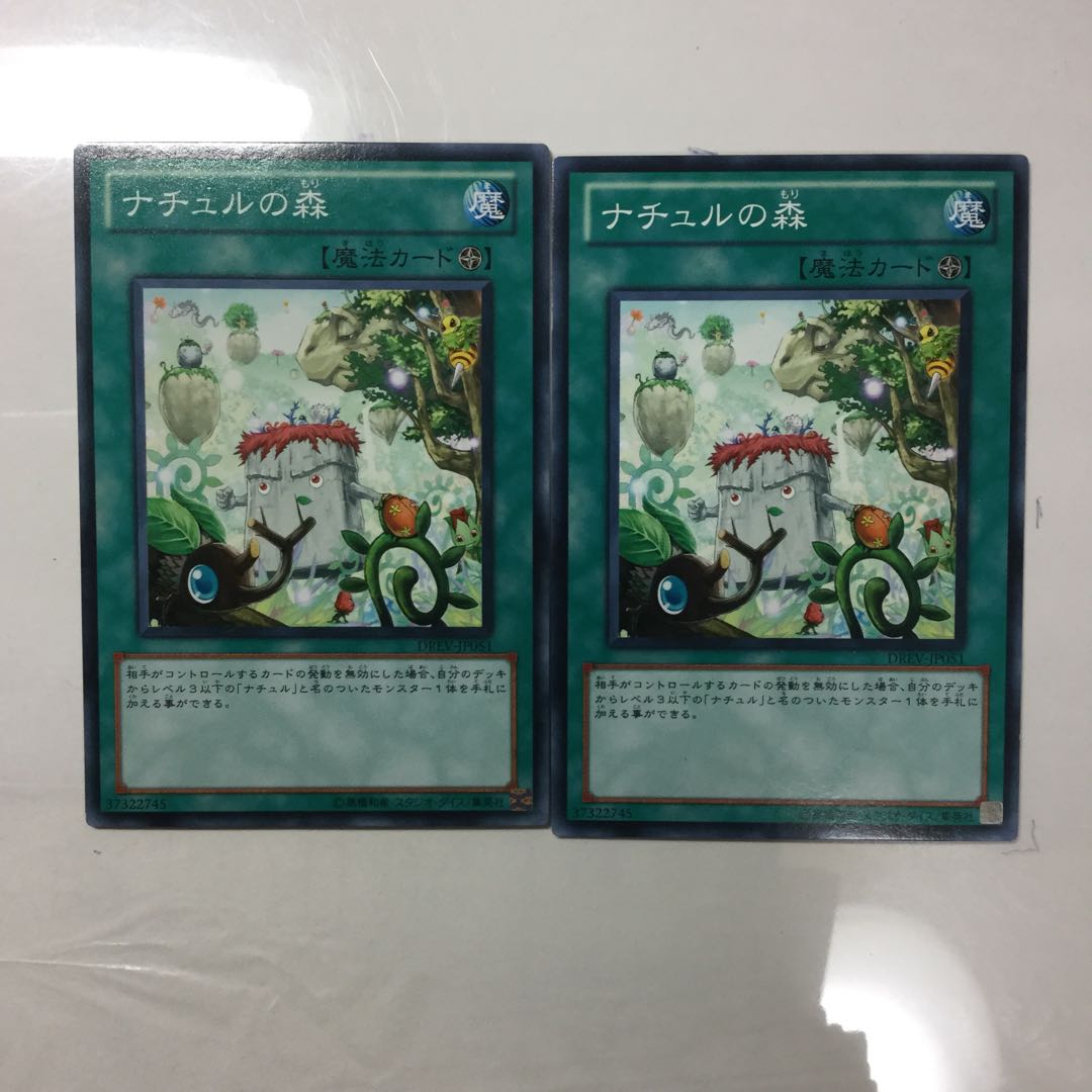 ナチュルの森　２枚