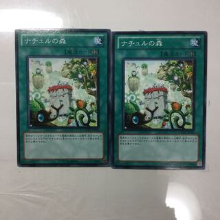 ナチュルの森　２枚