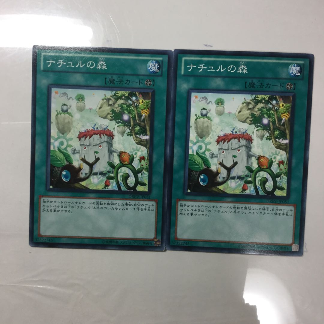 ナチュルの森　２枚