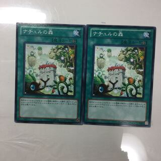 ナチュルの森　２枚