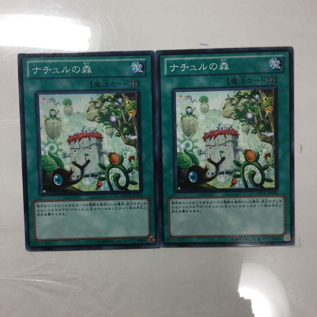 ナチュルの森　２枚