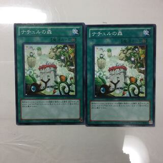 ナチュルの森　２枚