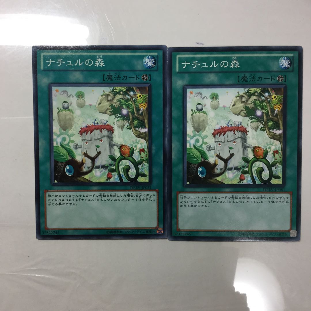 ナチュルの森　２枚