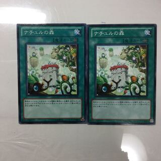 ナチュルの森　２枚