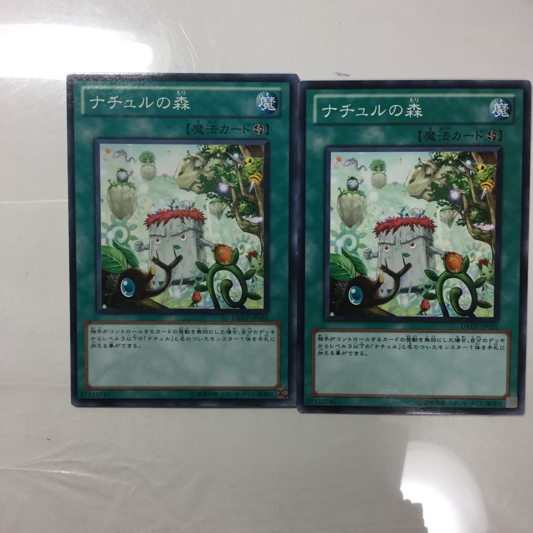 ナチュルの森　２枚