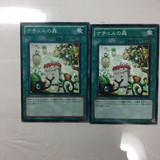 ナチュルの森　２枚