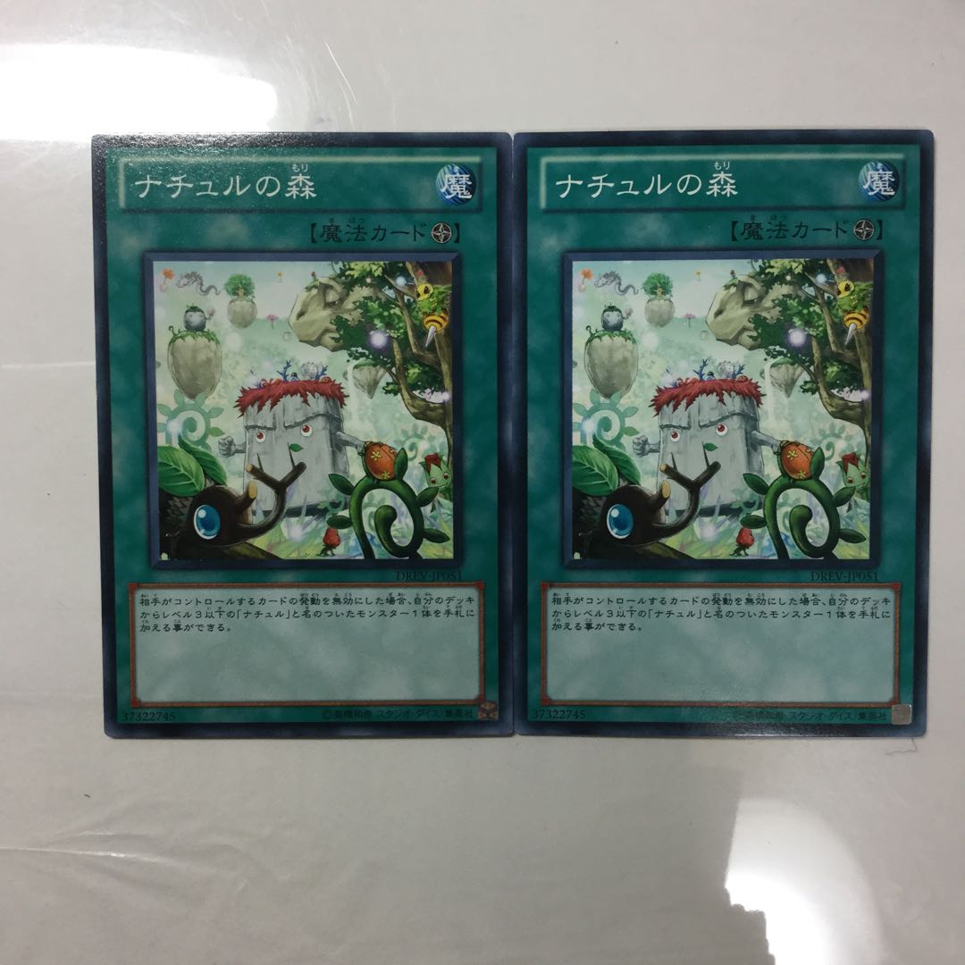 ナチュルの森　２枚