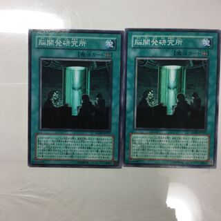 脳開発研究所　２枚