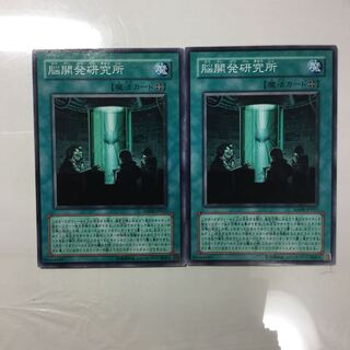 脳開発研究所　２枚