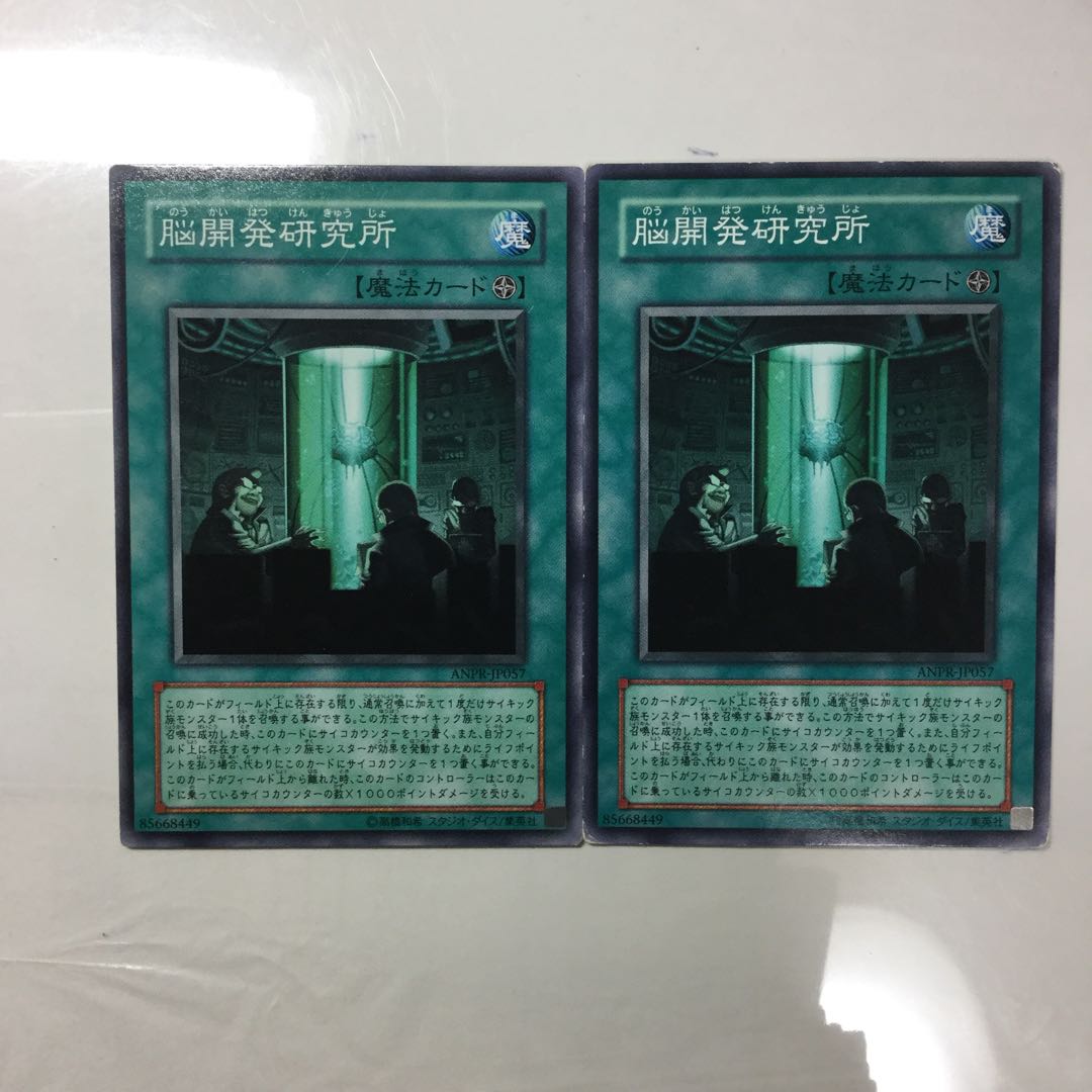 脳開発研究所　２枚