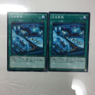 光虫基盤　２枚