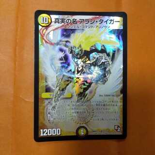 真実の名 アラシ・タイガー