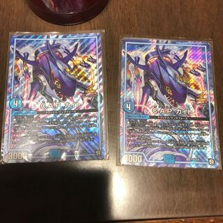 キャプテンカイト 1枚