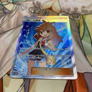 ブルーの探索 sr