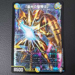 「雷光の聖騎士」