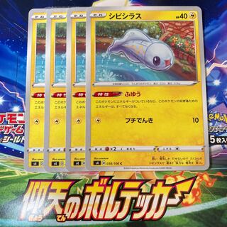 シビシラス 4枚