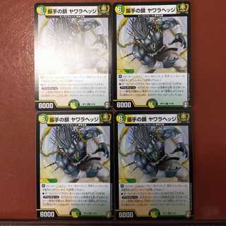 Set Discounted Furiate Chain Yawara Hedge