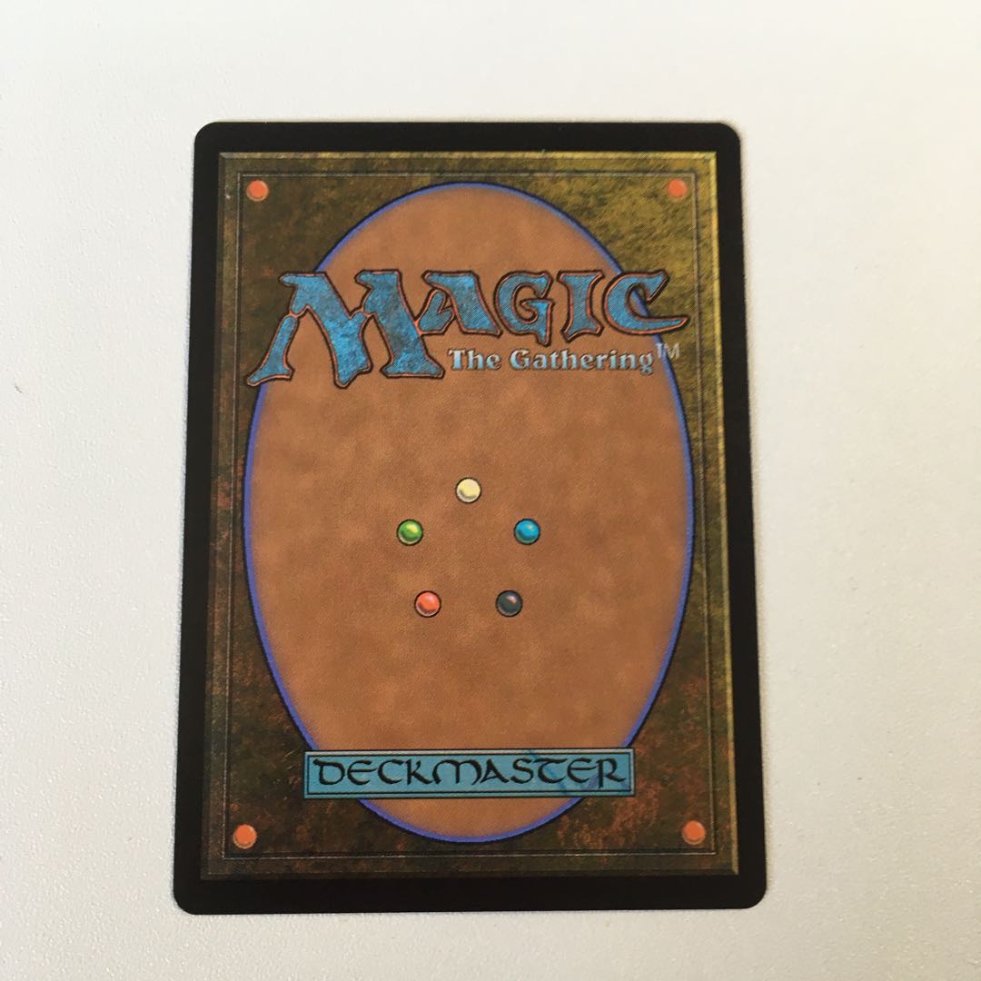 大魔導師の魔除け　1枚