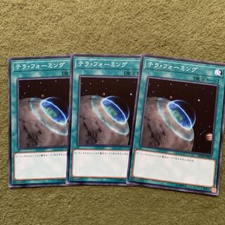 テラ・フォーミング ノーマル　3枚