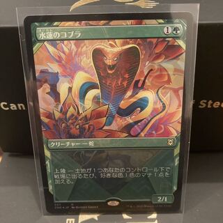 拡張　foil 水蓮のコブラ 1枚