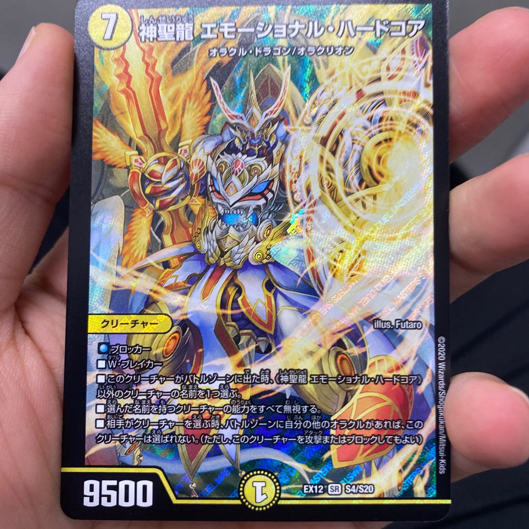 神聖龍 エモーショナル・ハードコア SR