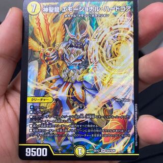 神聖龍 エモーショナル・ハードコア SR