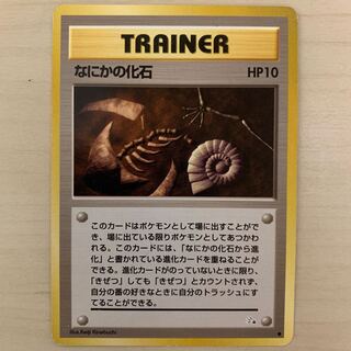 Fossil of something Old Back