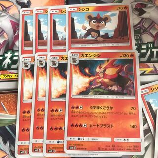 シシコ カエンジシ 進化ライン