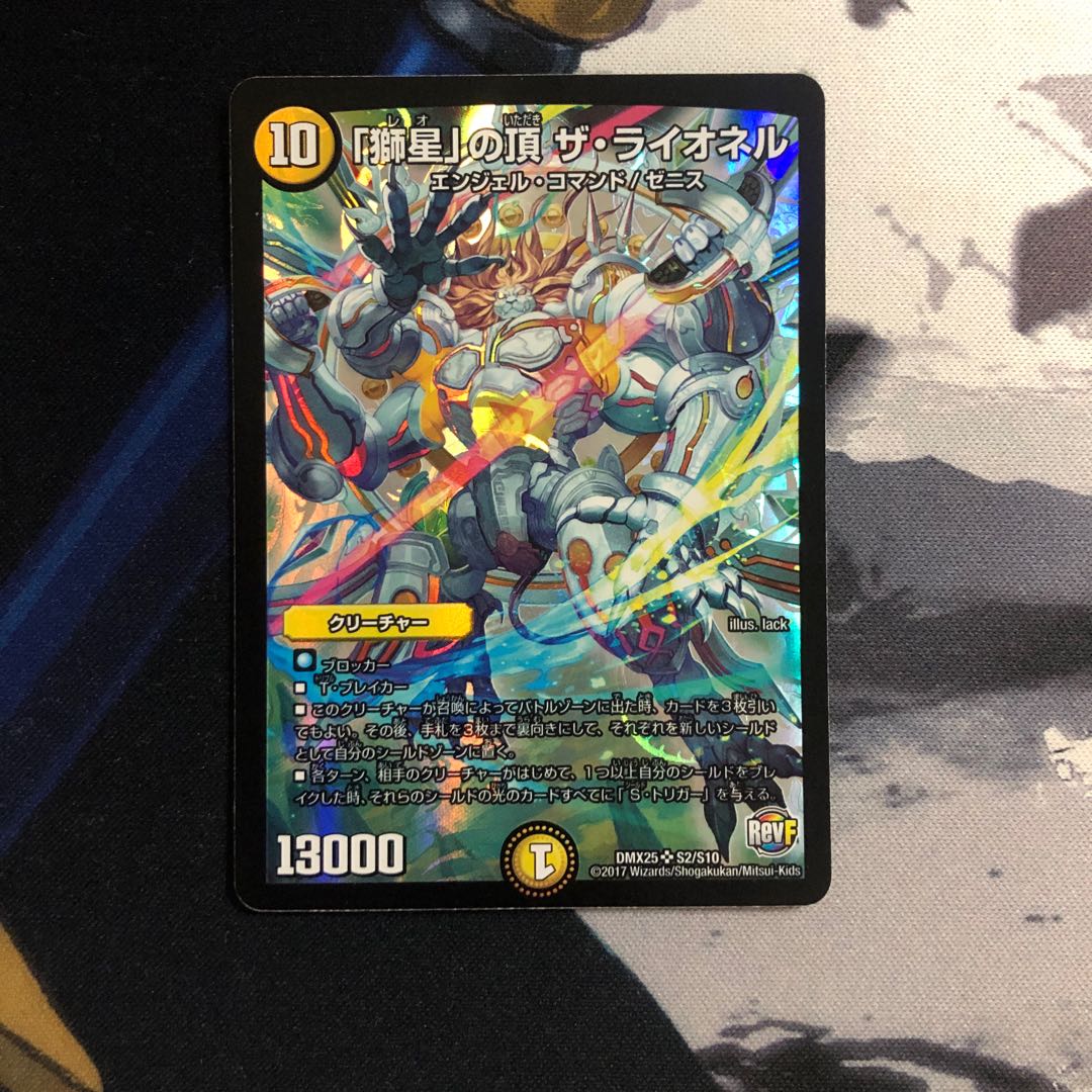 「獅星」の頂 ザ・ライオネル　写真立て426