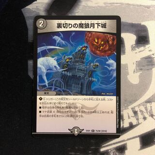 裏切りの魔狼月下城　写真立て342