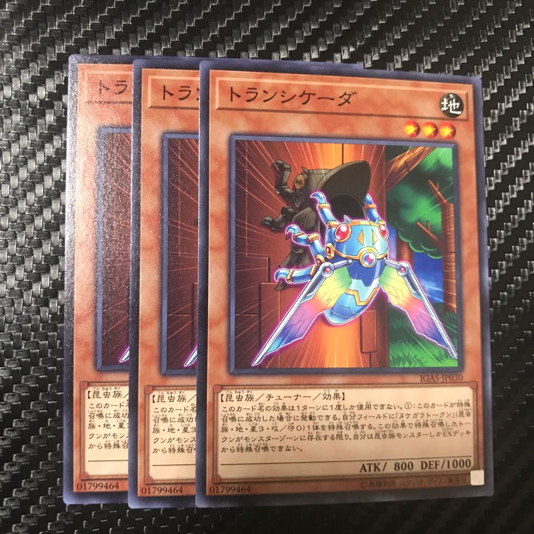 トランシケーダ ノーマル