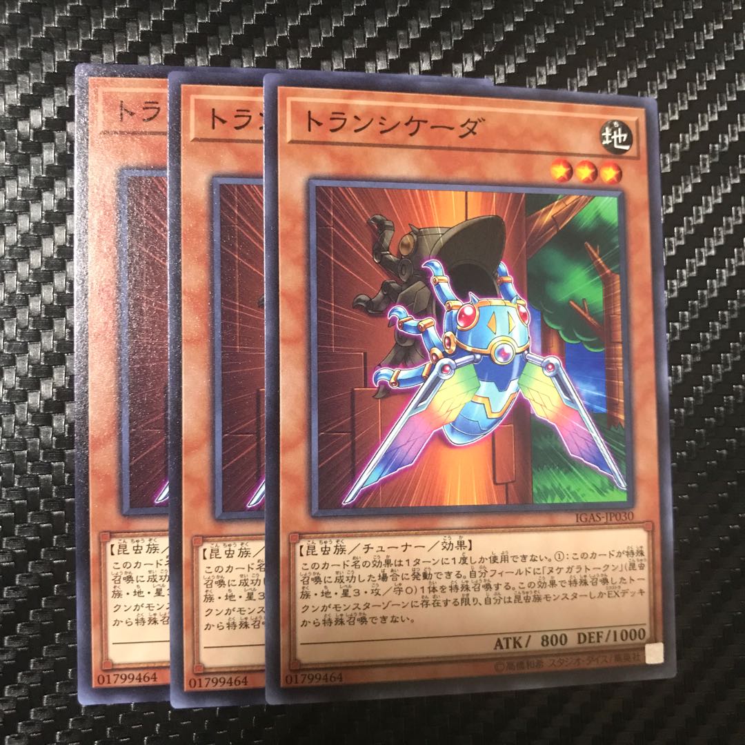 トランシケーダ ノーマル