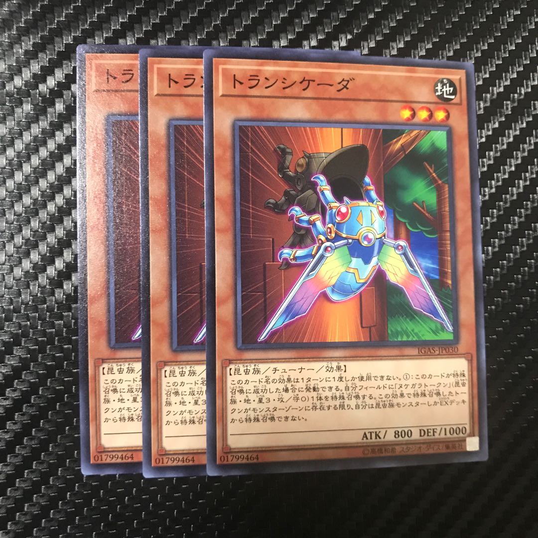 トランシケーダ ノーマル